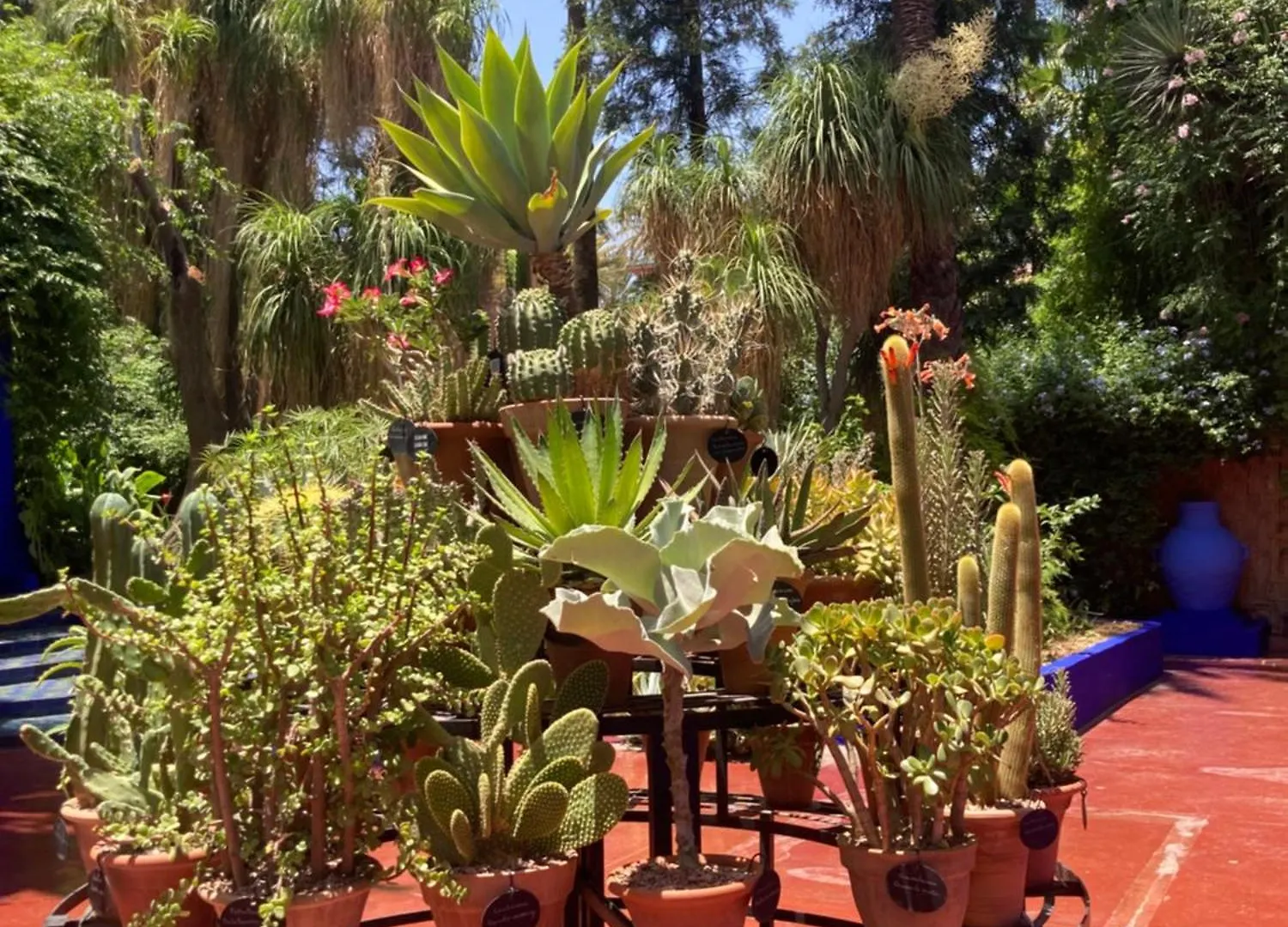 Appartement Marrakech Gueliz Marrakesh Morocco